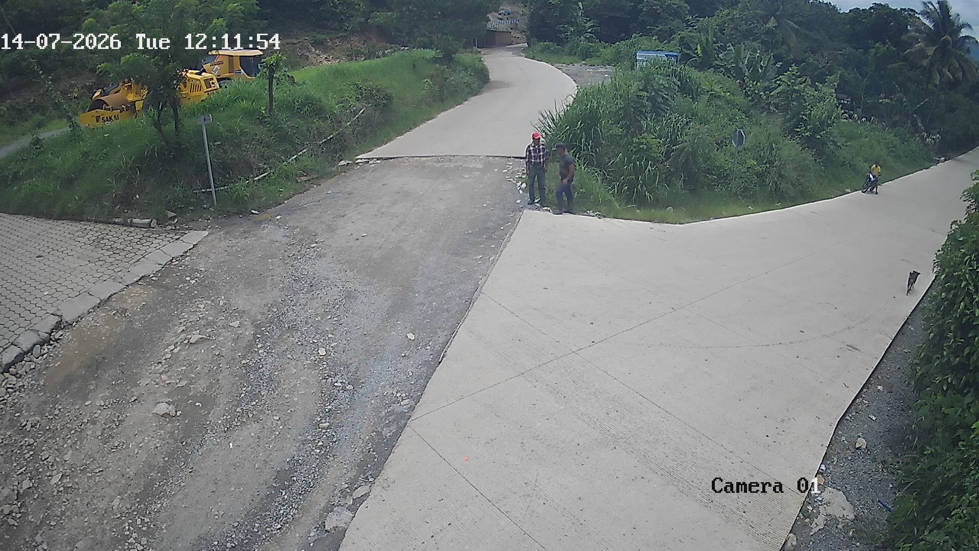 Vista en vivo
